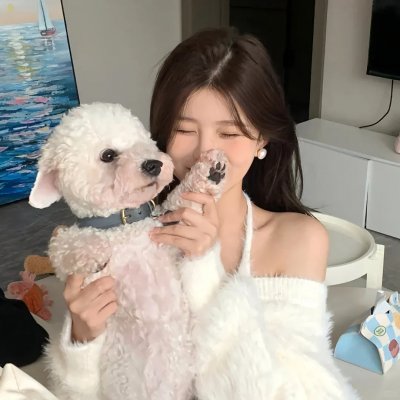 剧情故事
